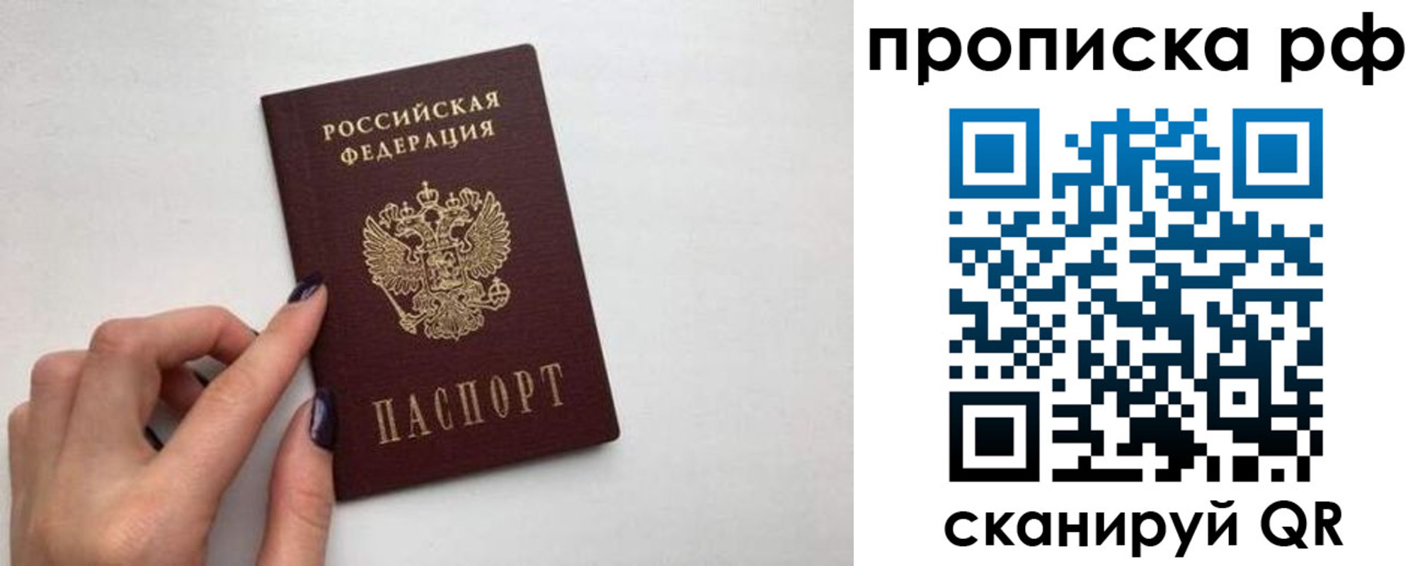 прописка в квартире в Зернограде